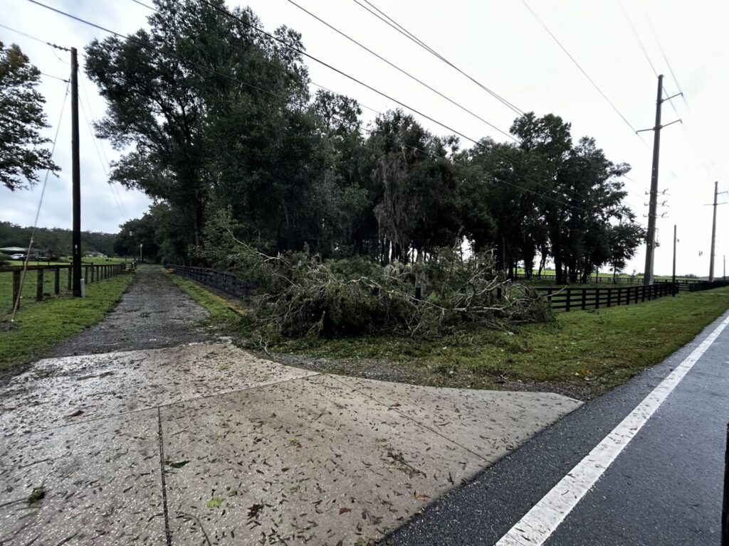 Hurricane Milton Downed tree on fence at S Highway 475 and SE 145th St Scott Snyder