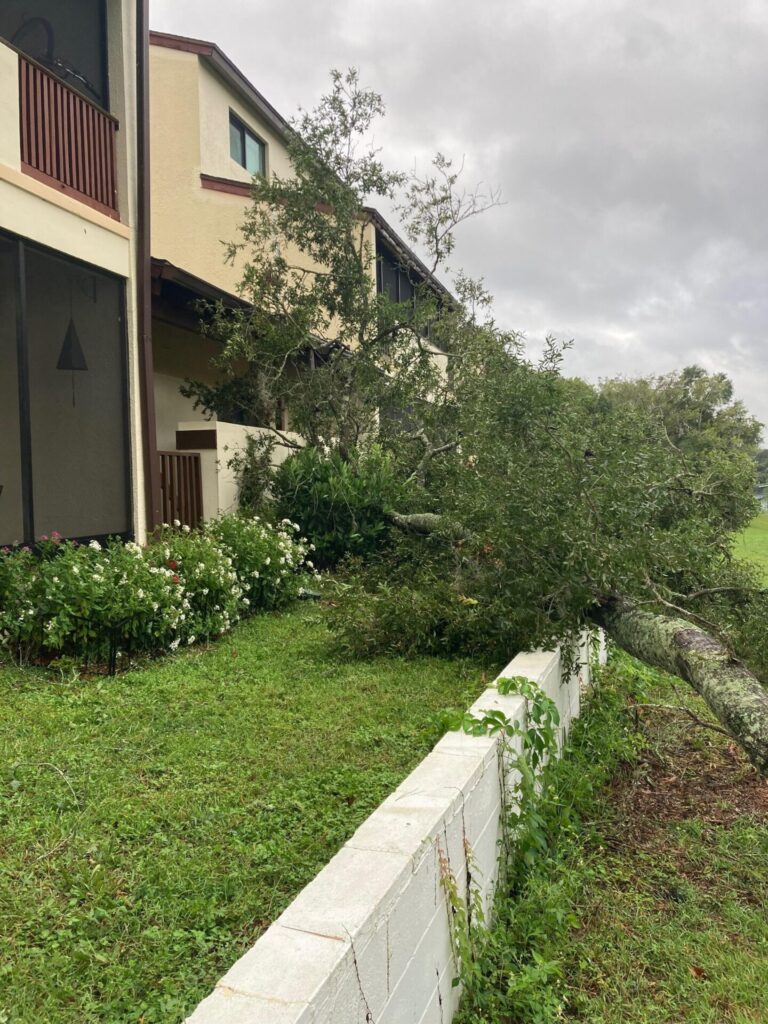 Hurricane Milton Downed tree on golf course on Silver Springs Boulevard Robert Heagy III