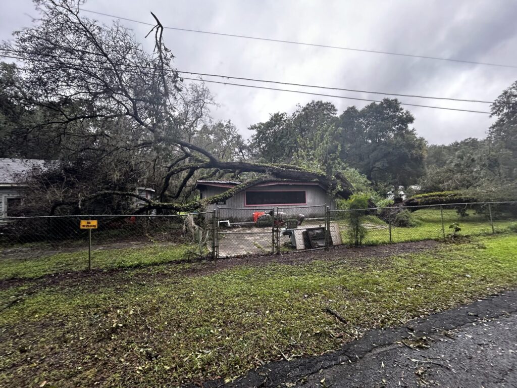 Hurricane Milton Downed tree on home along SE 73rd Street Scott Snyder