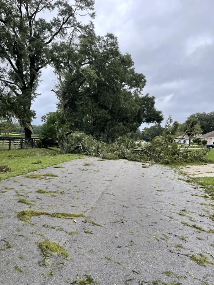 Hurricane Milton Downed tree on roadway Laura Miller