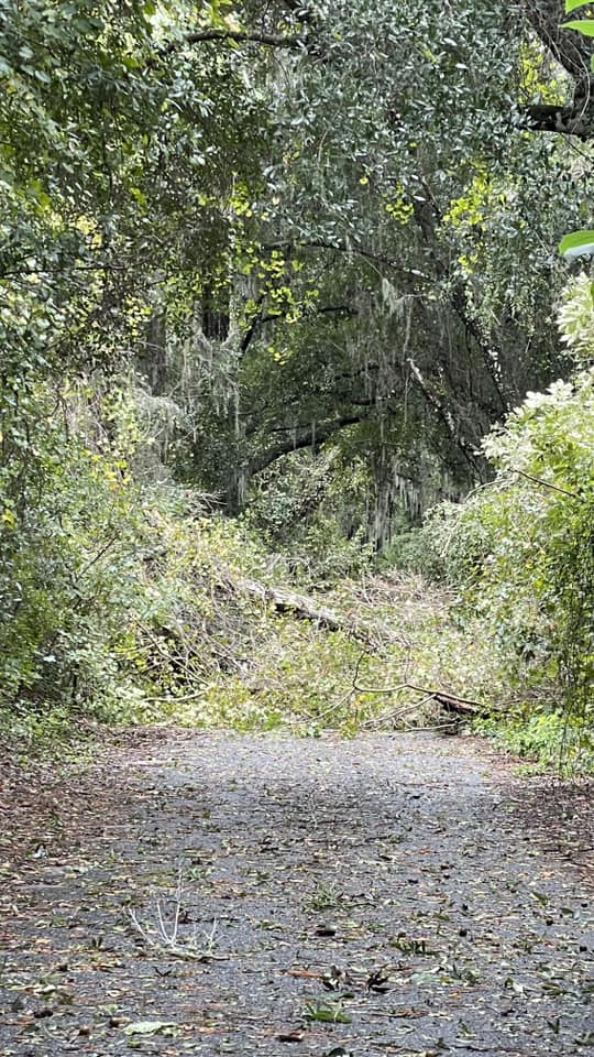 Hurricane Milton Downed trees on SW 21st Ct in Ocala Jlona Dobler Daniel