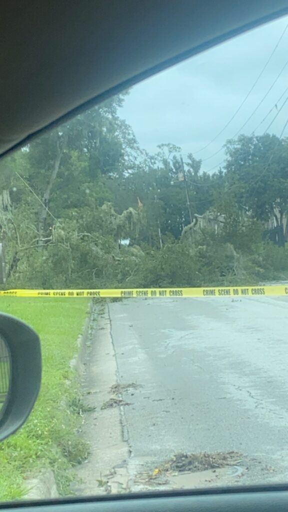 Hurricane Milton Tree downed on NE 22nd Ave Victoria Holiday
