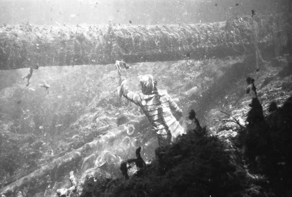 Ricou Browning swims underwater during the filming of "Revenge of the Creature" in Silver Springs in 1954.