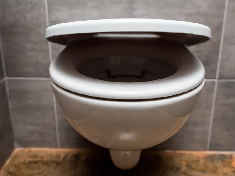 Toilet and seat cover