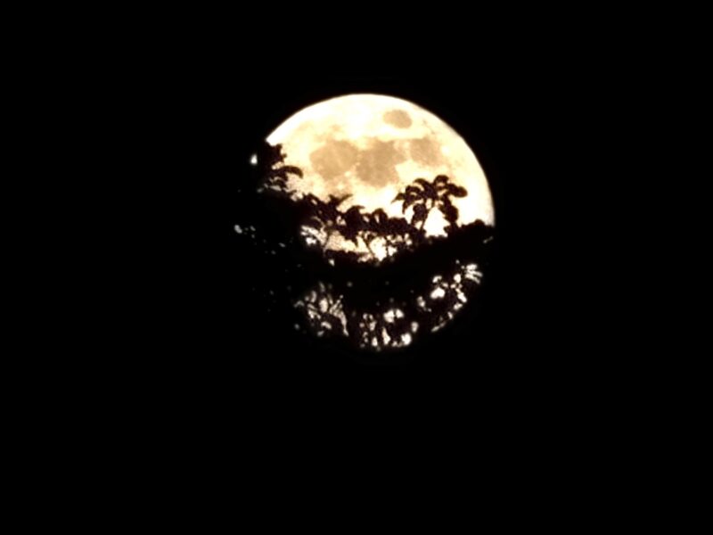 Beaver supermoon over SummerGlen Community