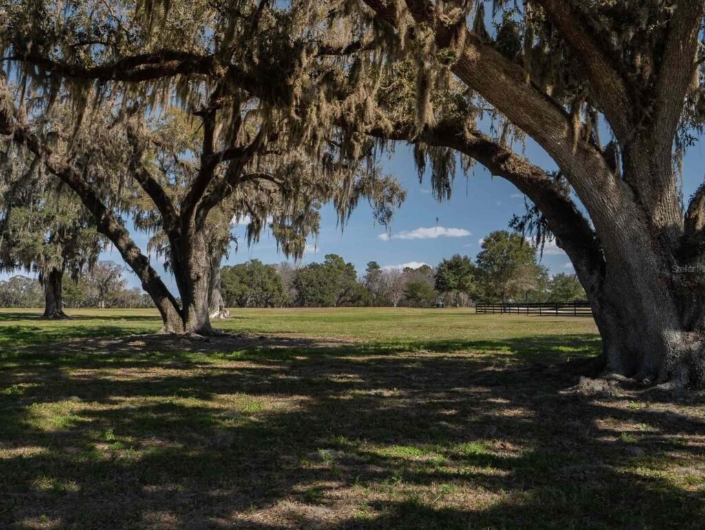 The farm in northwest Ocala is covered by acres of trees and undeveloped land.