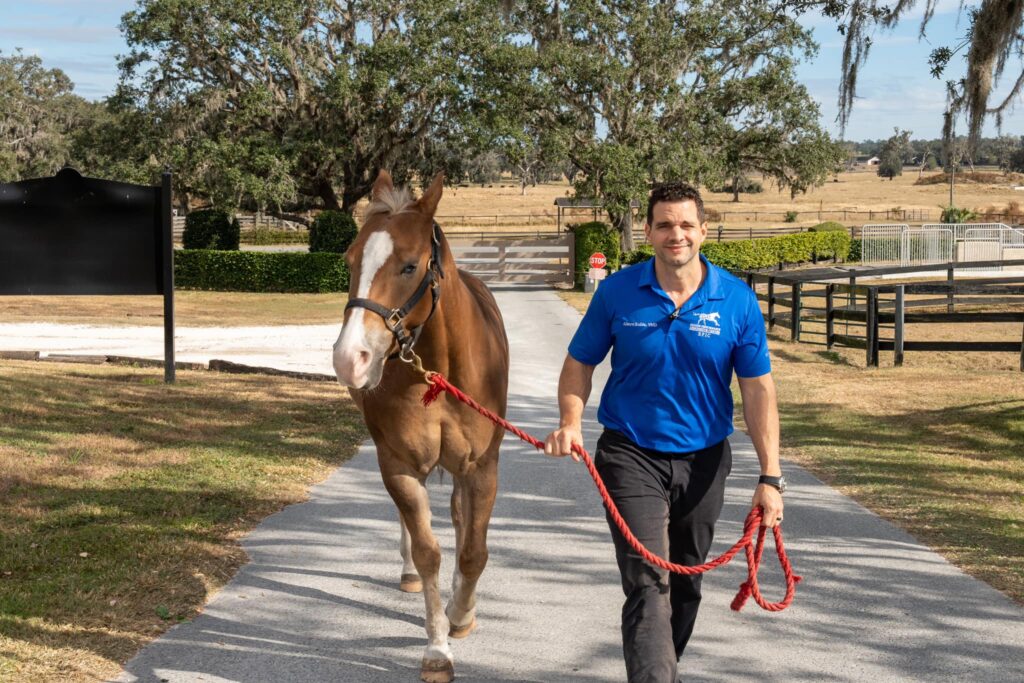 Alberto J Rullan walking a horse at his facility