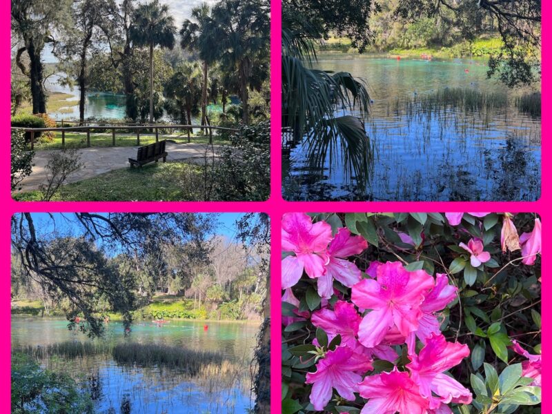 Little slice of heaven at Rainbow Springs State Park