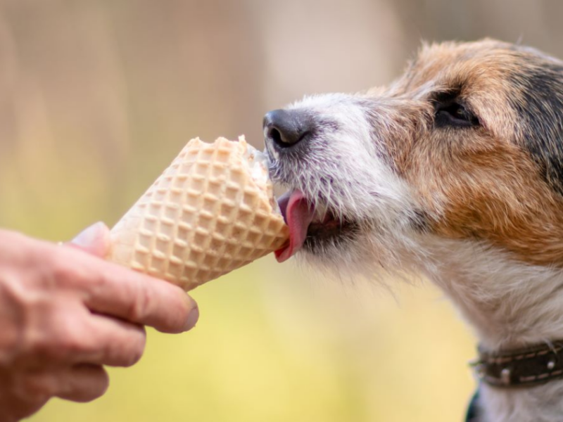 Ice Cream Social
