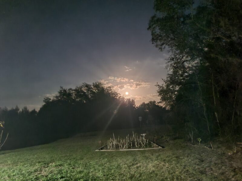 Beautiful sunset in Ocklawaha