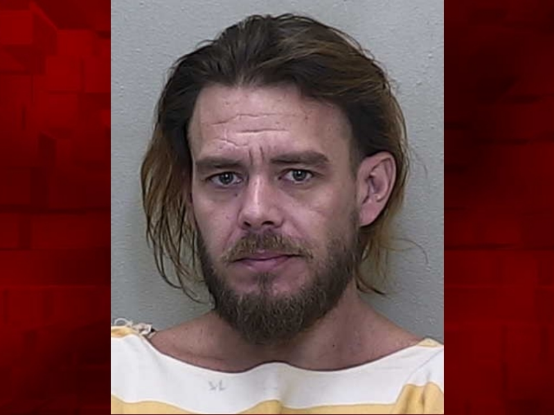 Lewis James Ricker