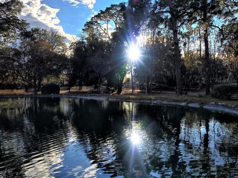 Two times the sunshine at Sholom Park
