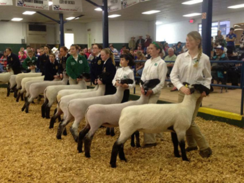 Southeastern Youth Fair