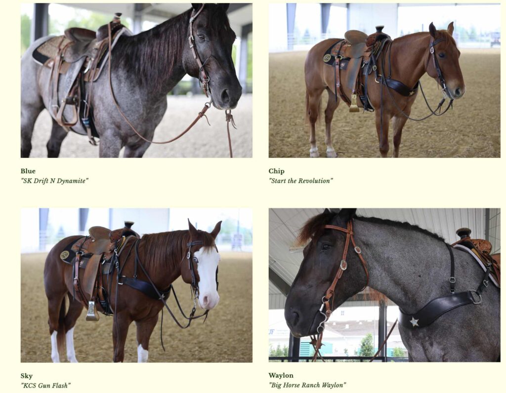 The other horse deputies that comprise Marion County Sheriff's Office Mounted Unit.