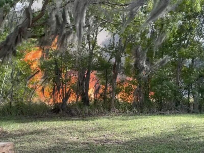 A brush fire broke out behind a Walmart in southwest Ocala on Monday.