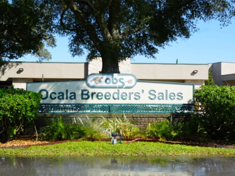 Ocala Breeders Sales