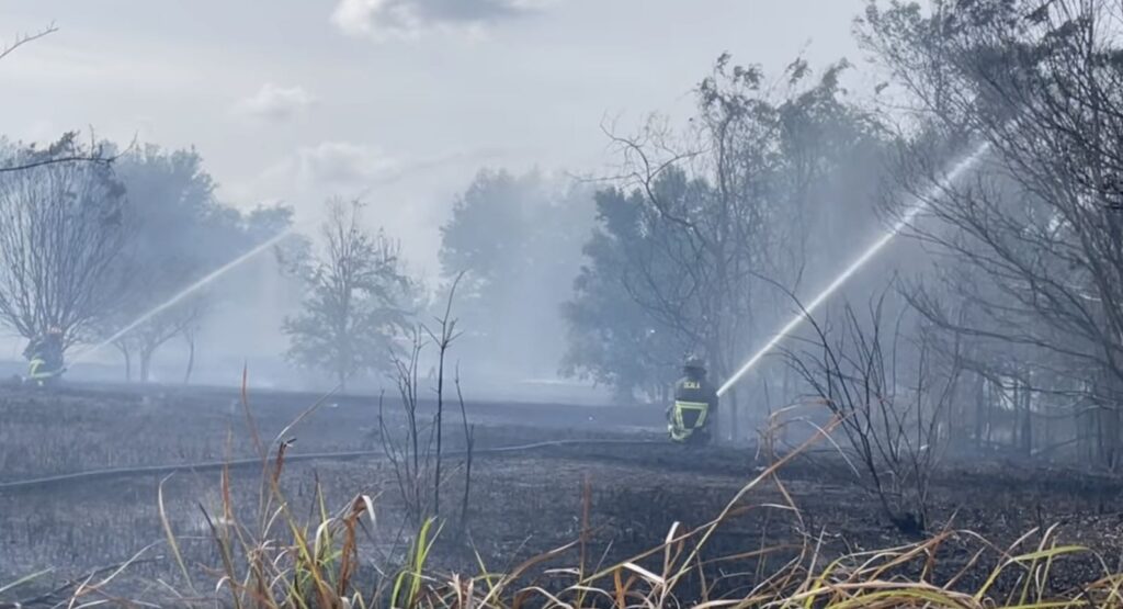 Firefighters batted down the flames behind Walmart.