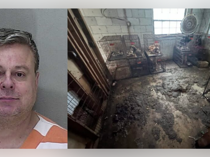 Matthew Keel was found dead in his home on April 9, 2025, the same day he was scheduled to be sentenced in court on dozens of animal cruelty charges.