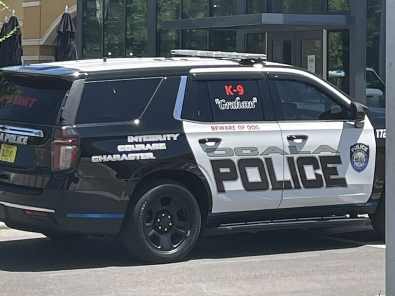 Ocala Police Department officers detained a suspect accused of snatching a purse from an elderly woman at a local shopping plaza.