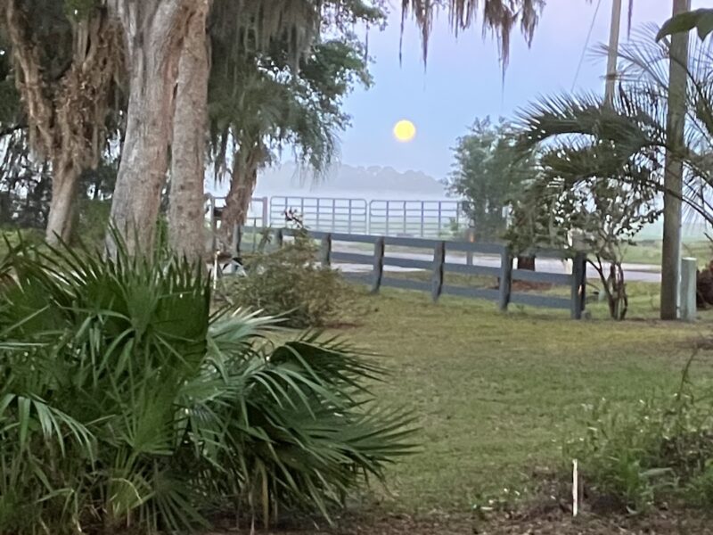 Setting moon over Dunnellon