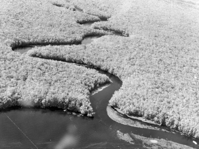 Aerial view of Ocklawaha River. 1900 (circa). State Archives of Florida,