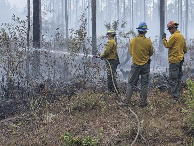 Crews work to extinguish wildfire on SE 1st Street in the Ocala National Forest