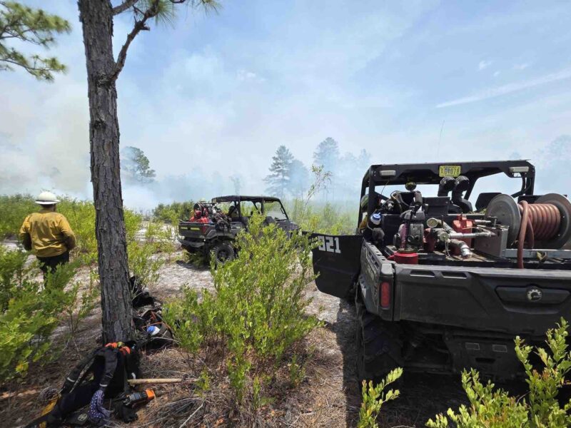 Firefighting crews have contained 50% of the Shanty 2 wildfire in the Ocala National Forest as of Tuesday morning.