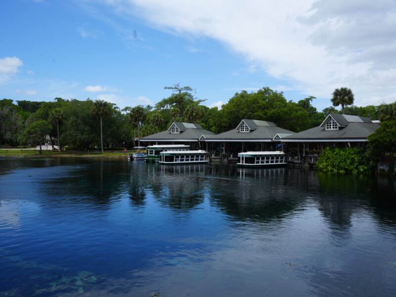 Glass bottom boats at Silver Springs State Park