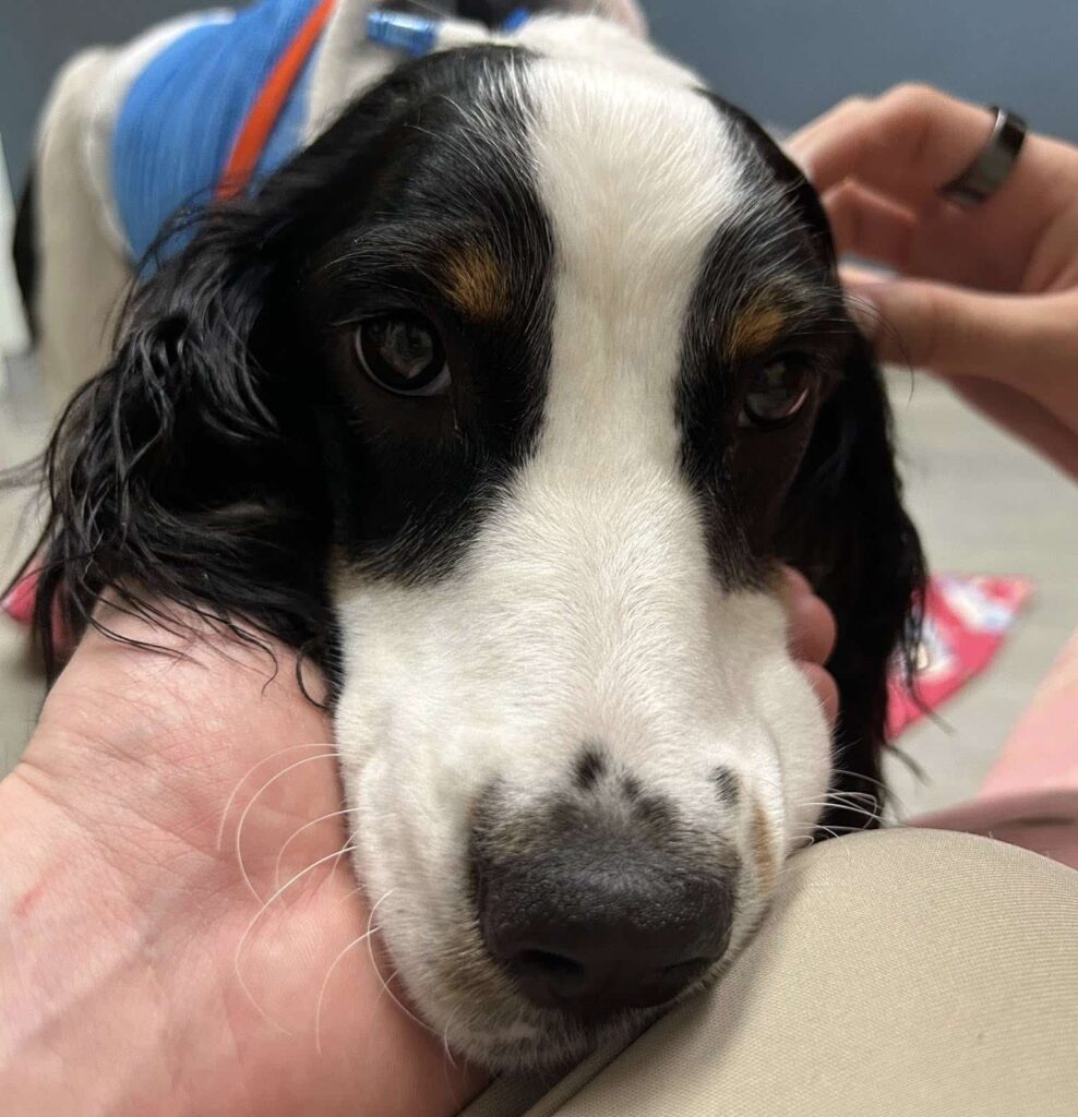 Mae is doing well and is recovering from the attack