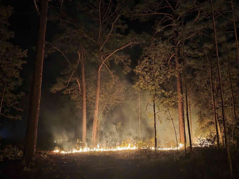 A wildfire grew to over 100 acres in the Ocala National Forest on Thursday, May 15.