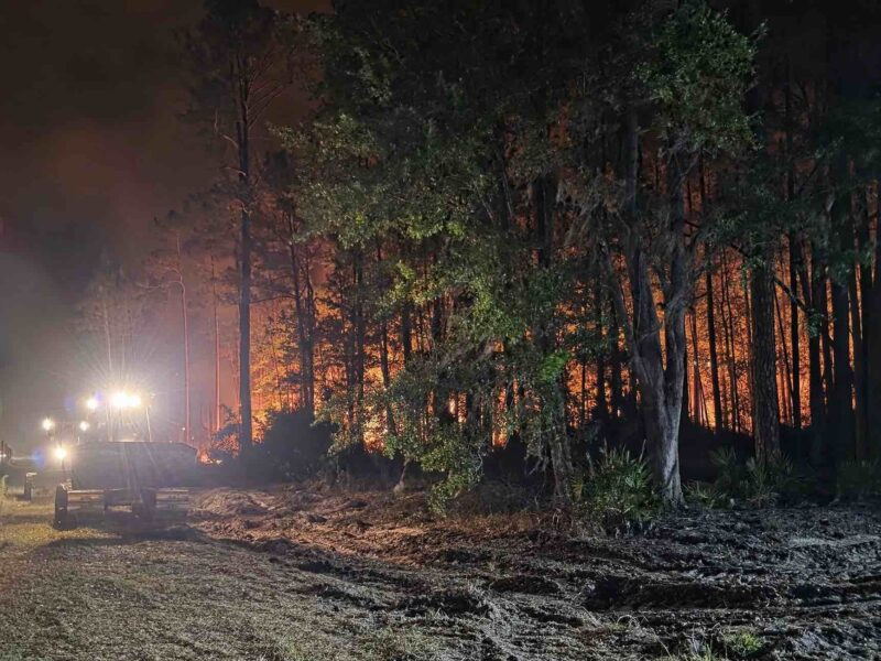 Wildfire rages in Ocala National Forest