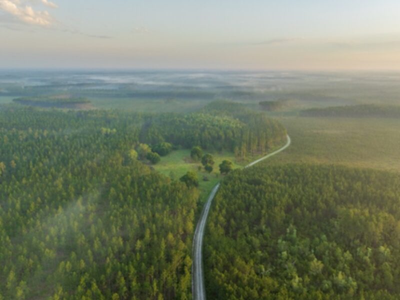 Camp Blanding to Raiford Greenway Florida Forever Project | Photo by Lauren Yoho:Wildpath
