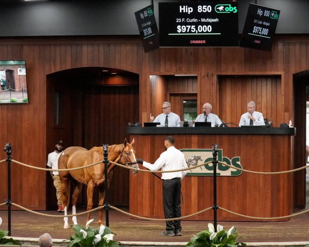 Hip 850 sells for a record $975,000 at the OBS June Sale OBS VidHorse photo