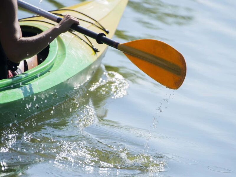 The city of Belleview is considering an ordinance to prohibit kayaks, boats, and other floatation devices from its public bodies of water.