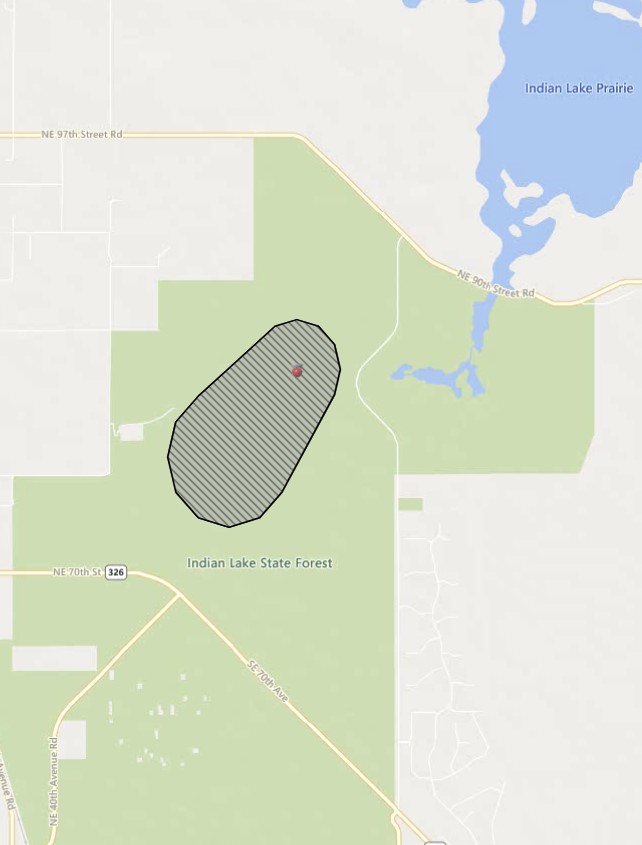 Prescribed burn in portion of Indian Lake State Forest in Marion County
