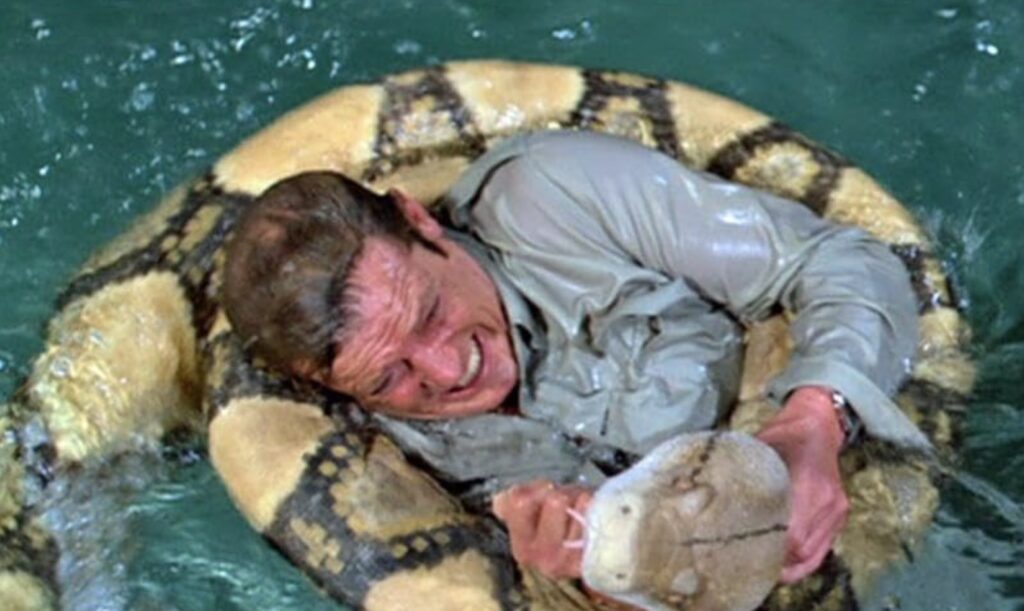 Roger Moore as James Bond wrestling an anaconda in Moonraker.