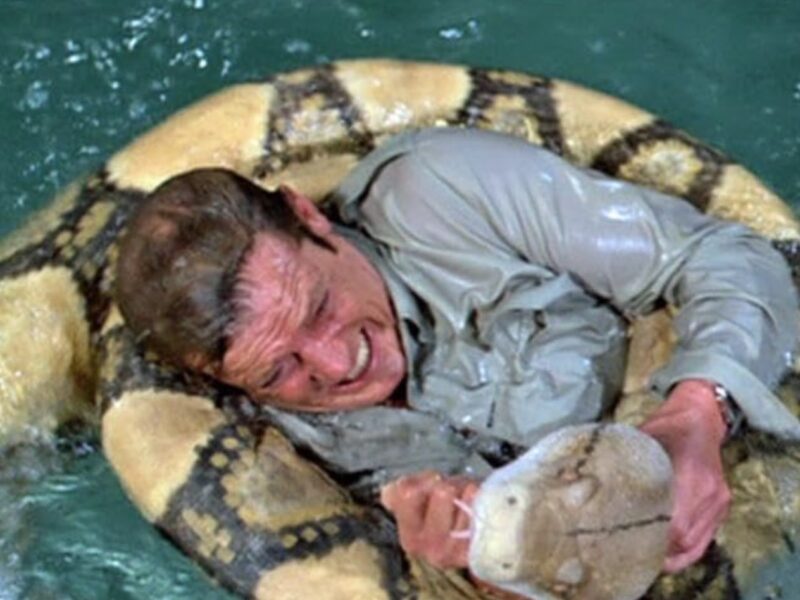 Roger Moore as James Bond wrestling an anaconda in Moonraker.