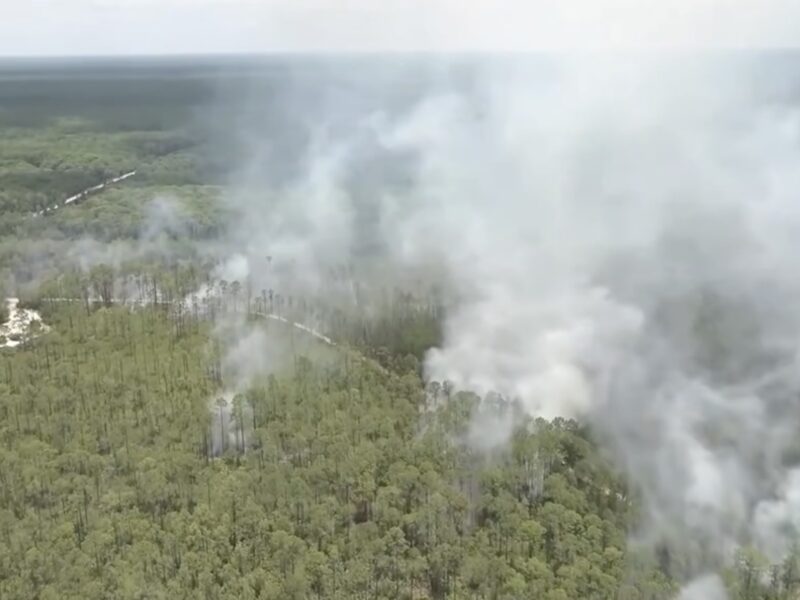 The Perchman Fire is still producing smoke along US 19, according to officials from the United States Forest Service.