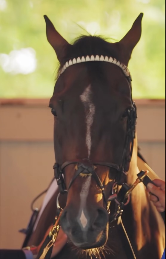 Sovereignty claimed victory in the 157th running of the Belmont Stakes this weekend, becoming one of two horses trained in Ocala to claim all three legs of the Triple Crown this year.