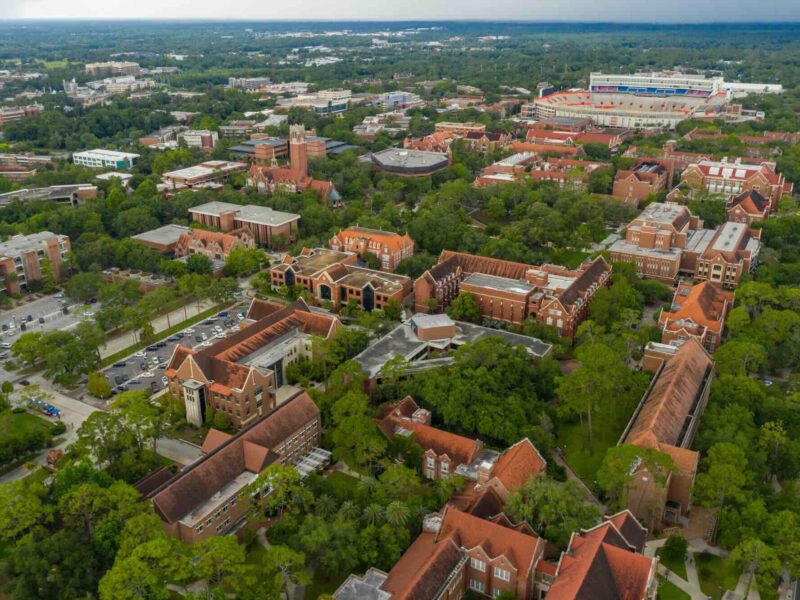 Four students who won National Merit Scholarships will use them to attend the University of Florida this fall.