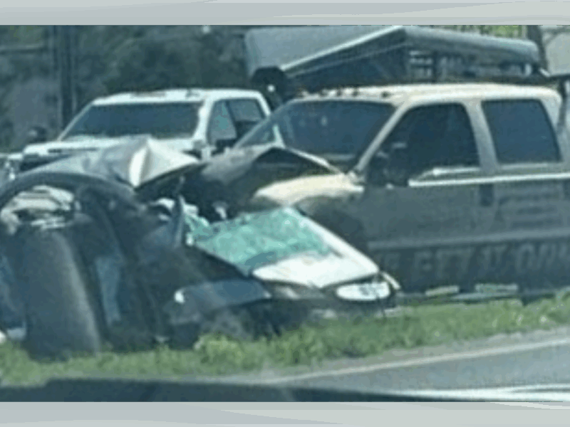 An 81-year-old man was killed after a fatal accident on State Road 40 in Ocala on Saturday, June 21.