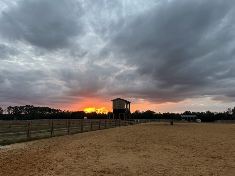 Beautiful view of Lazy J Facility in Moss Bluff