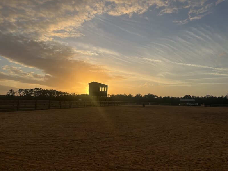 Gorgeous look at the Lazy J Facility in Moss Bluff