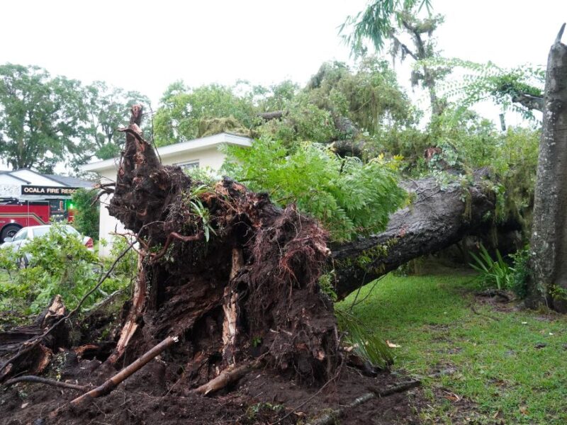 A severe storm caused a tree to fall on an Ocala duplex on July 14, 2025. (Photo: Ocala Fire Rescue)