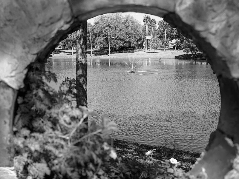 View at Tuscawilla Park