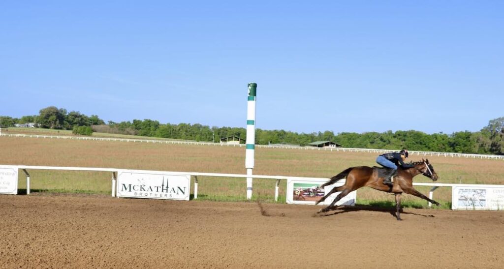 One of the racetracks at the McKathan Brothers Farm in Marion County