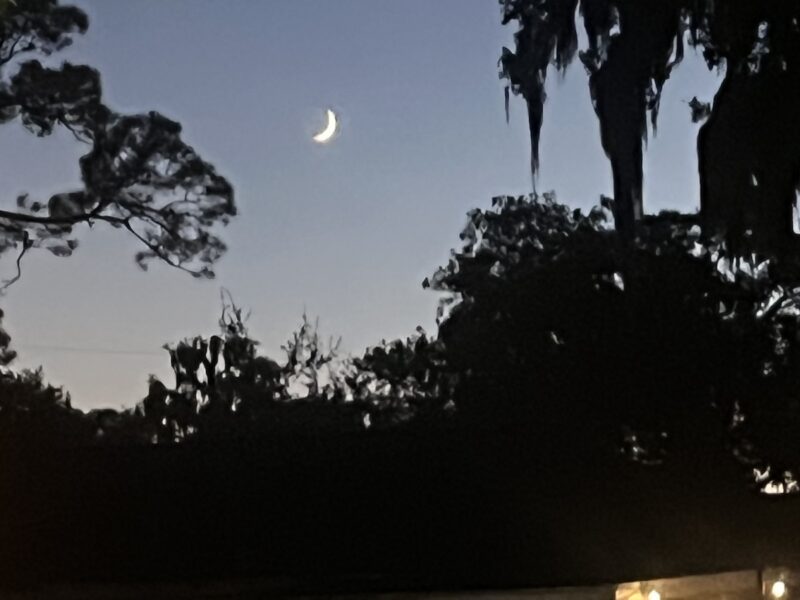 Sliver of a moon above Ocala Historic District