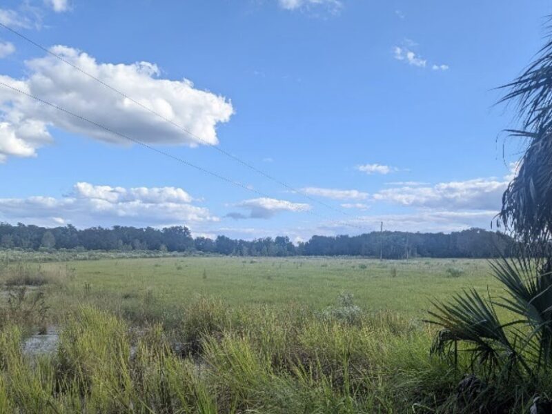 A pasture as seen on a property in Dunnellon sought for a new, large lot development