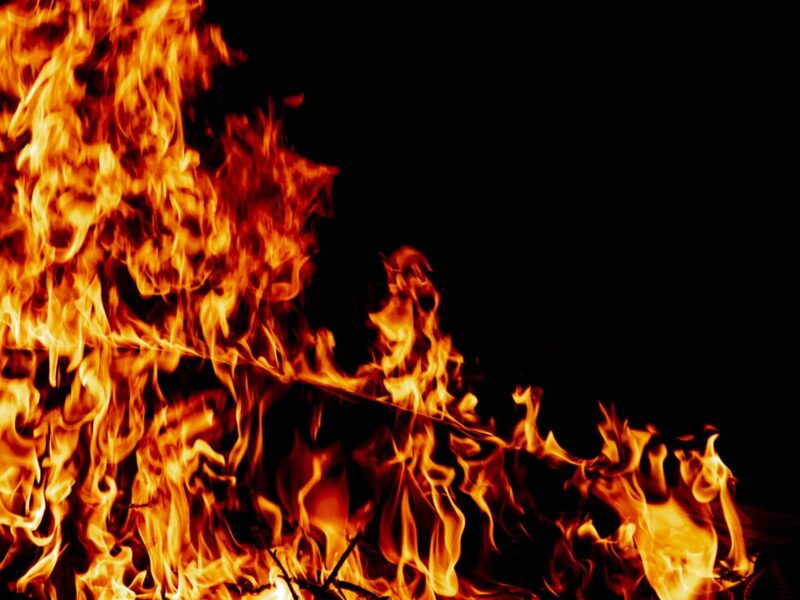 Fire on a dark background. Background from fire. Fire close up. Background for designers.Wood fire on black background
