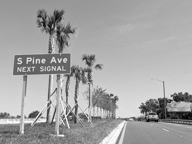 S Pine Avenue in Ocala